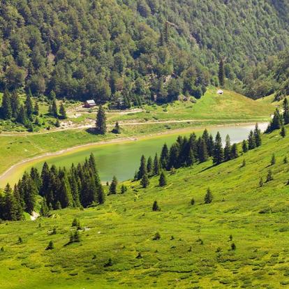 A Découvrir au Monténégro - Le Parc national Biogradska Gora