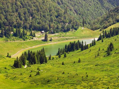 A Découvrir au Monténégro - Le Parc national Biogradska Gora