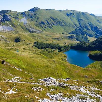 Parc national de Biogradska Gora - Lac Pesica A Découvrir au Monténégro - Le Parc national Biogradska Gora