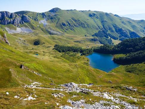 A Découvrir au Monténégro - Le Parc national Biogradska Gora