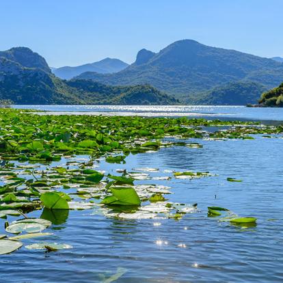 Lac De Skadar A Découvrir au Monténégro - Le Parc national du Lac de Skadar