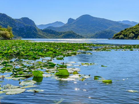 Lac De Skadar A Découvrir au Monténégro - Le Parc national du Lac de Skadar