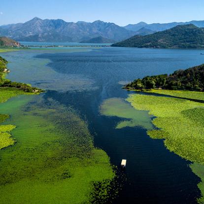 Lac de Skadar A Découvrir au Monténégro - Le Parc national du Lac de Skadar