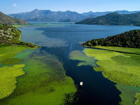 Lac De Skadar A Découvrir au Monténégro - Le Parc national du Lac de Skadar