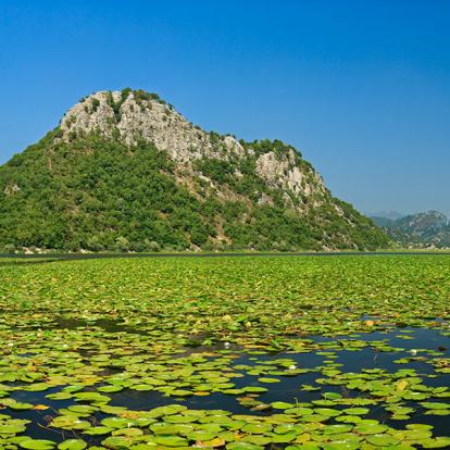 A Découvrir au Monténégro - Le Parc national du Lac de Skadar