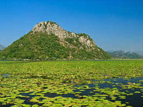 Lac De Skadar A Découvrir au Monténégro - Le Parc national du Lac de Skadar