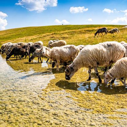 Parc National Du Durmitor - Lac Vrazje A Découvrir au Monténégro - Le Parc National du Durmitor