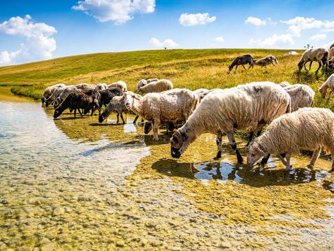 Parc National Du Durmitor - Lac Vrazje A Découvrir au Monténégro - Le Parc National du Durmitor
