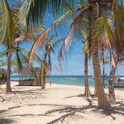 A Découvrir aux Philippines - Puerto Princesa