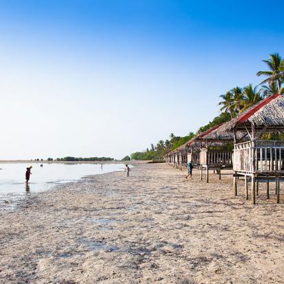 A Découvrir aux Philippines - Puerto Princesa