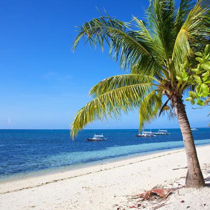 A Découvrir aux Philippines - L'Ile de Malapascua