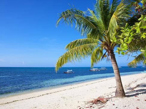 A Découvrir aux Philippines - L'Ile de Malapascua