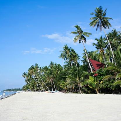 A Découvrir aux Philippines - L'Ile de Bohol