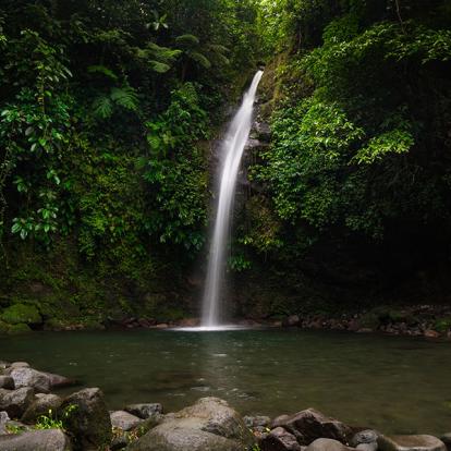 A Découvrir aux Philippines - L'Ile de Bohol