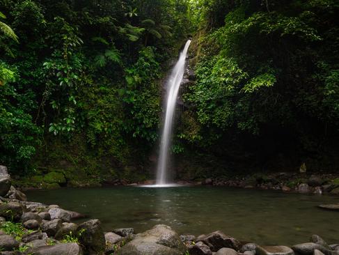 A Découvrir aux Philippines - L'Ile de Bohol