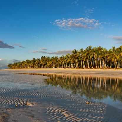 A Découvrir aux Philippines - L'Ile de Bohol