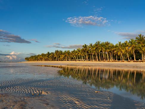 A Découvrir aux Philippines - L'Ile de Bohol