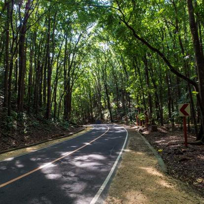 A Découvrir aux Philippines - L'Ile de Bohol