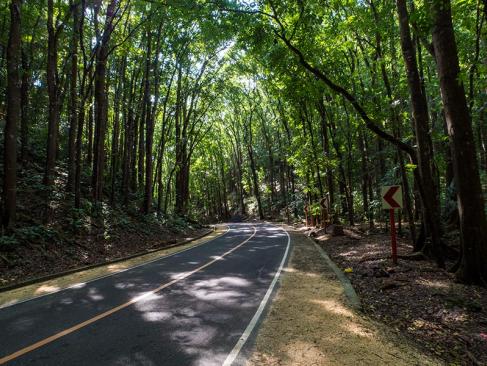 A Découvrir aux Philippines - L'Ile de Bohol