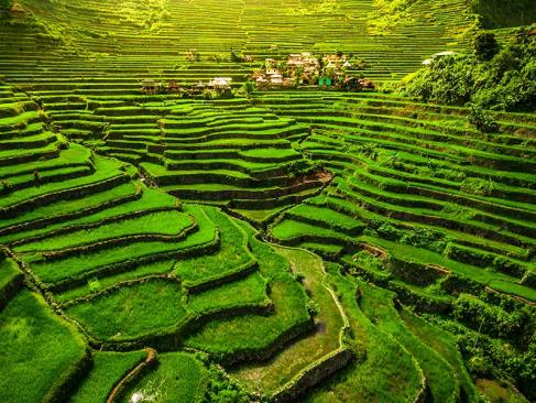 A Découvrir aux Philippines - Banaue