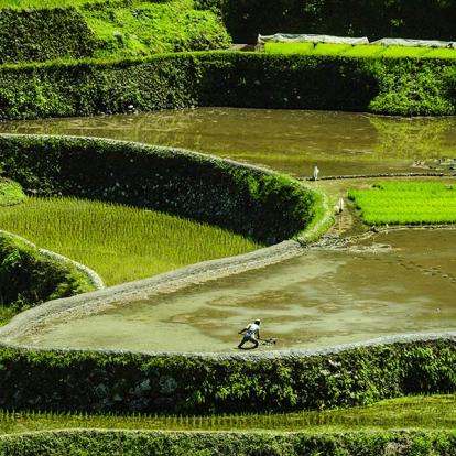 A Découvrir aux Philippines - Banaue