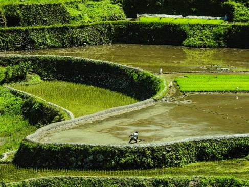 A Découvrir aux Philippines - Banaue
