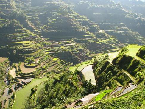 A Découvrir aux Philippines - Banaue