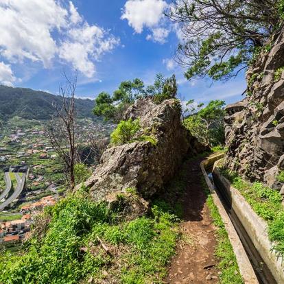 Marcher Seul Sur Une Levada à Madère A Découvrir à Madère - Santana