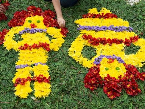 Fête Des Fleurs à Madère A Découvrir à Madère - La Fête des fleurs
