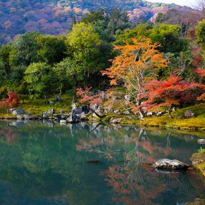 A Découvrir au Japon - La bambouseraie d’Arashiyama