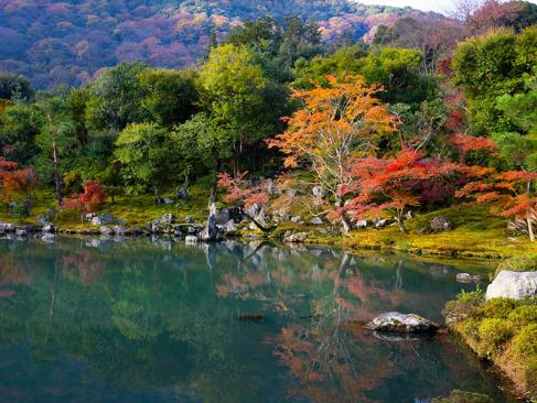 A Découvrir au Japon - La bambouseraie d’Arashiyama