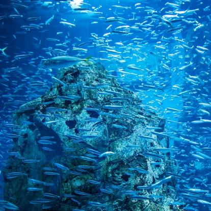 A Découvrir au Japon - Osaka