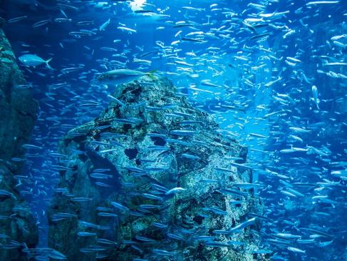A Découvrir au Japon - Osaka