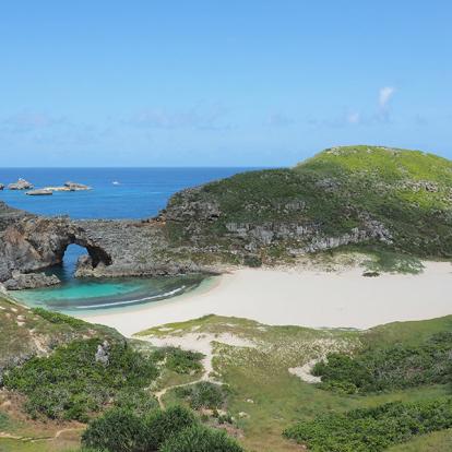 L’archipel d’Ogasawara A Découvrir au Japon - L’archipel d’Ogasawara