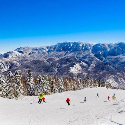 A Découvrir au Japon - Nagano