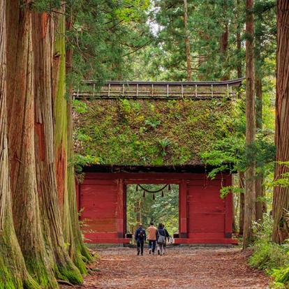 A Découvrir au Japon - Nagano