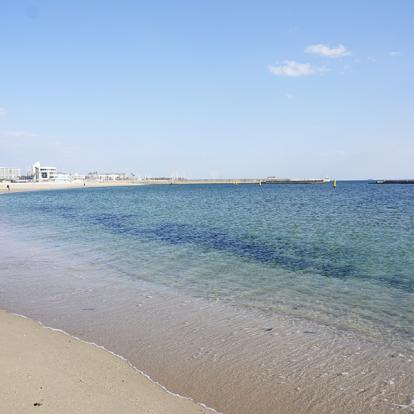 A Découvrir au Japon - Kobe