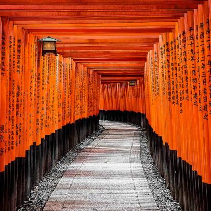 A Découvrir au Japon - Kyoto