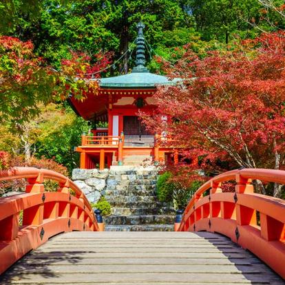 A Découvrir au Japon - Kyoto
