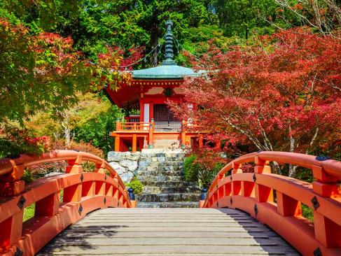 A Découvrir au Japon - Kyoto