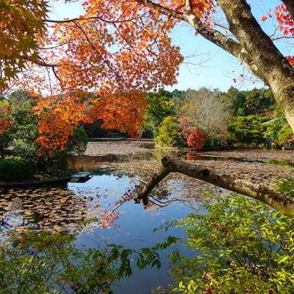 A Découvrir au Japon - Kyoto