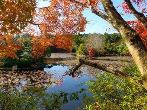 A Découvrir au Japon - Kyoto