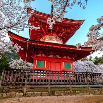 A Découvrir au Japon - L'île sacrée de Miyajima
