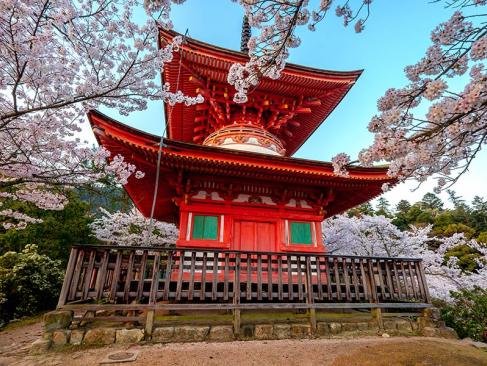 A Découvrir au Japon - L'île sacrée de Miyajima