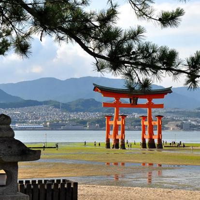 A Découvrir au Japon - L'île sacrée de Miyajima