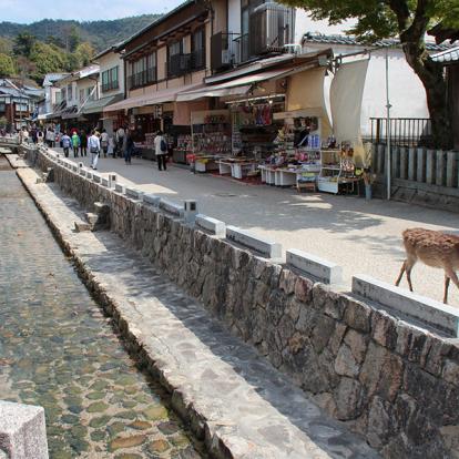 A Découvrir au Japon - L'île sacrée de Miyajima