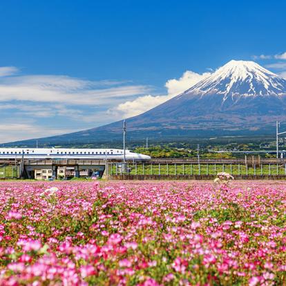 Train Shinkansen Avec Vue Sur Le Mont Fuji A Découvrir au Japon - Le Mont Fuji