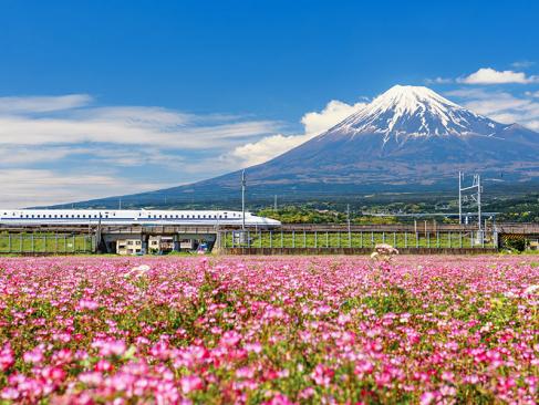 Train Shinkansen Avec Vue Sur Le Mont Fuji A Découvrir au Japon - Le Mont Fuji