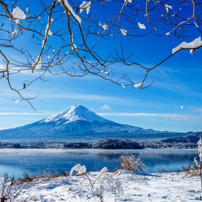 MontFuji Au Lac Kawaguchi A Découvrir au Japon - Le Mont Fuji