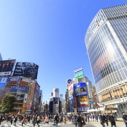 Tokyo - Shibuya A Découvrir au Japon - Tokyo
